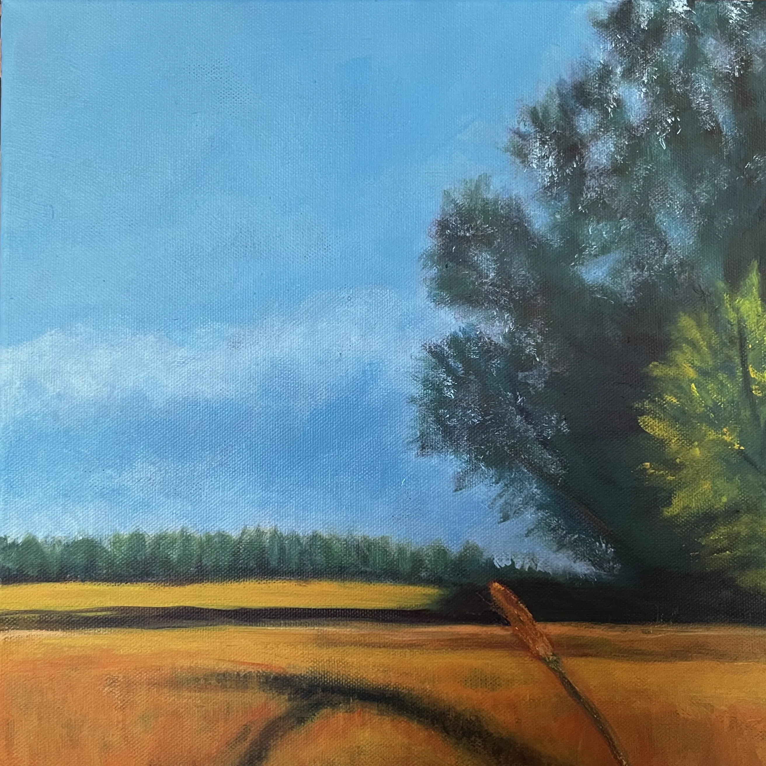 Single Wheat Stalk