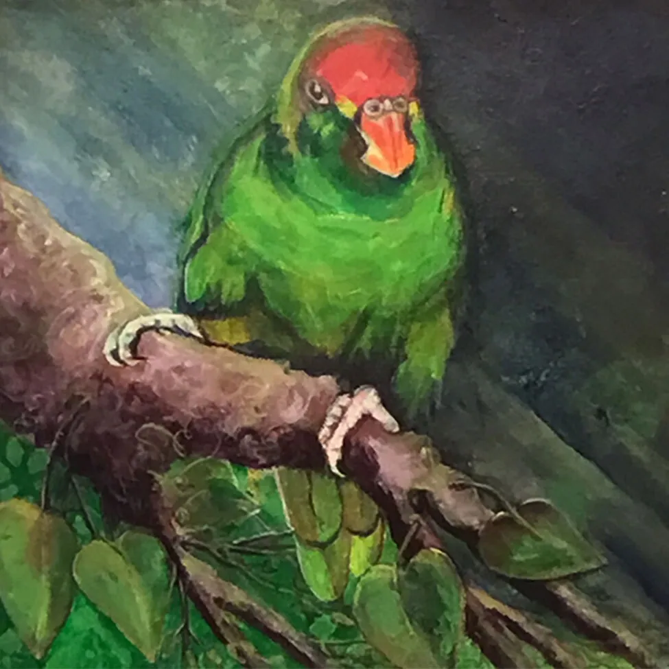 Out On A Limb