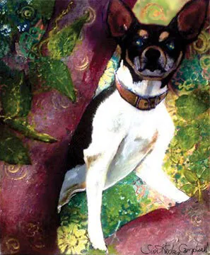 Rusty Rat Terrier
