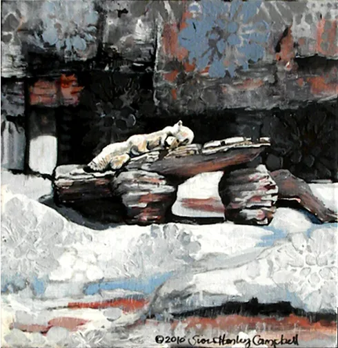 Snoozing Bear